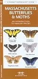 Massachusetts Butterflies &  Moths: An Introduction to Familiar Species (State Nature Guides)