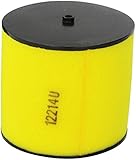 Honda 17254-HN1-000 Air Filter