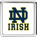 Bully CR-943 Notre Dame Fighting Irish College Helmet Hitch Cover