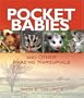 Pocket Babies: And Other Amazing Marsupials (Junior Library Guild Selection)