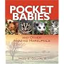 Pocket Babies And Other Amazing Marsupials (Junior Library Guild Selection)