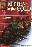 Kitten in the Cold (Animal Ark #13)