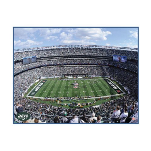NFL New York Jets Stadium 22x28 Canvas Art