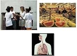 Nutrition, Smoking & Alcohol: Complete Health Series of 3 DVDs