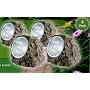 NEW 4 X GARDEN SOLAR POWERED WHITE LED ROCK LIGHTS POND
