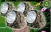 NEW 4 X GARDEN SOLAR POWERED WHITE LED ROCK LIGHTS POND