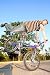 51O%2BYTf KDL. SL75  Bmx Freestyle