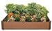 Greenland Gardener 6-Inch Raised Bed Garden Kit Greenland Gardener 6-Inch Raised Bed Garden Kit