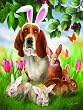 Bunnie Wannabe 500pc Jigsaw Puzzle by Thomas Wood