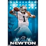 NFL Carolina Panthers 2011 Player Poster