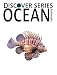 Ocean Animals: Discover Series Picture Book for Children (Kindle Kids Library)