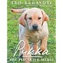 Pukka: The Pup After Merle by Ted Kerasote