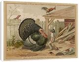 Canvas Prints of Turkey And Its Killer from Mary Evans