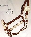 ROYAL KING DARK OIL INCA Silver Bar Show Halter