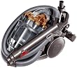 Dyson DC20 Animalpro Staubsauger ohne Beutel
