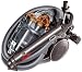 Dyson DC20 Animalpro Staubsauger ohne Beutel