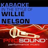 Karaoke: In the Style of Willie Nelson - Single (Professional Performance Tracks)
