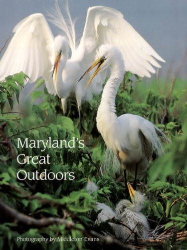 Maryland
