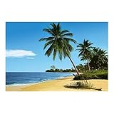 African Beach Wall Mural - 8'10x6'4