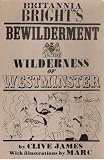 Britannia Bright's bewilderment in the wilderness of Westminster : a political poem in rhyming couplets
