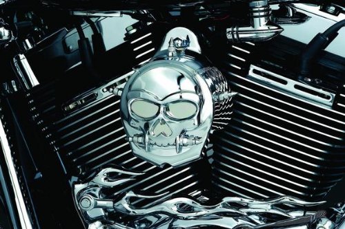 Kuryakyn 7719 Zombie Infinity Horn Cover On Sale