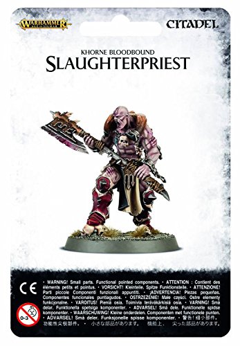 Warhammer 40K Age of Sigmar Khorne Bloodbound Slaughterpriest