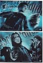 Harry Potter 3D Cards x 2 - Half Blood Prince