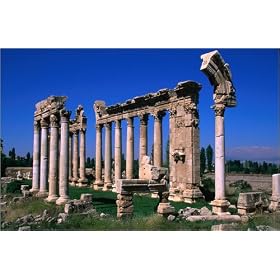 photographie The Roman Forum est disperible en (L x H): 30 x 20 cm de J. Elk III