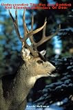 Understanding The Rut And Bedding And Sleeping Behaviors Of Deer