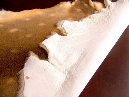 Cover image : Deer Skin Real Leather [S] 鹿皮