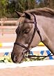 Henri de Rivel Club Plain Raised Snaffle Bridle w/Laced Reins