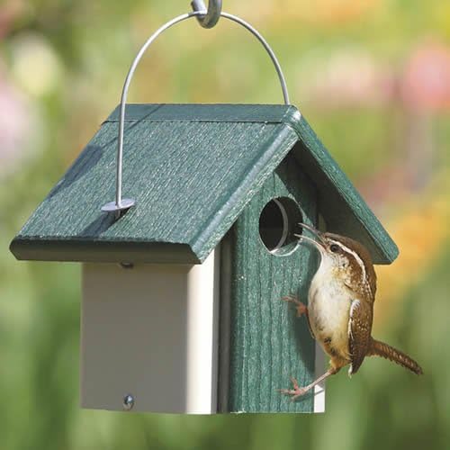 Duncraft Eco-Friendly Wren Bird House