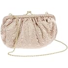 La Regale Gathered Pouch Frame Beaded