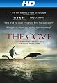 The Cove