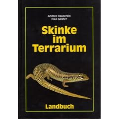 Skinke im Terrarium