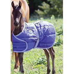Jasper Newborn Foal Blanket [Misc.] [Misc.]