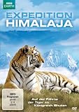 Expedition Himalaja - Auf der F&auml;hrte der Tiger im K&ouml;nigreich Bhutan