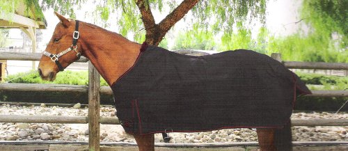 Kensington 18oz Canvas Turnout Blanket