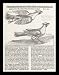 German Champion of the 2nd Half of the 16th Century (Strange birds seen between Mainz and Bingen am Rhein) Framed Art Poster Print - 11 X 17