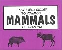 Easy Field Guide to Common Mammals of Arizona