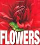 Flowers (MiniCube) (CubeBook)