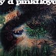 Pink Floyd - Saucer Decal