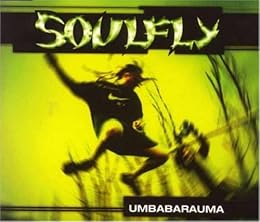 Soulfly Photo 10