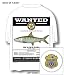 SLAM GEAR BONEFISH WANTED - POCKET T SHIRT WHITE