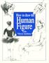 How to Draw the Human Figure