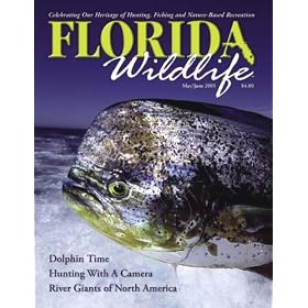Florida Wildlife by 