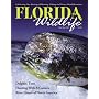 Florida Wildlife