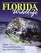 Florida Wildlife