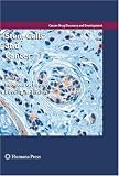 Stem Cells and Cancer (Cancer Drug Discovery and Development)