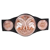 WWE Tag Team Championship Belt